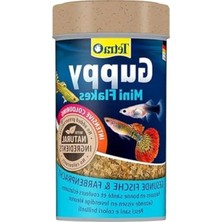 Hakay Guppy Balıkları Için Besleyici Yem, 100 Ml, Sağlıklı Gelişim