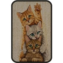 Hakay Desenli Kedi Tırmalama Paspası - 58X37 Cm, Sarı Renk