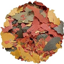 Hakay 100 Gram Tetramin Flakes Pul Balık Yemi