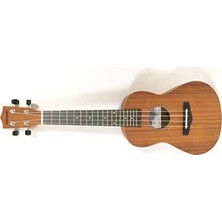 Hakay Konsantre Ukulele; Concert Boyutunda, Yüksek Ses Kalitesi