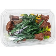 Nova Epoxy Art Akvaryum Dekoratif Yapay Bitki Seti - Kahverengi Kök Detaylı Yeşil Yapraklar (1 Adet)