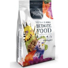 Nova Epoxy Art Meyve Aromalı ve Ballı Muhabbet Kuşu Yemi 1000 gr