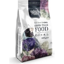 Nova Epoxy Art Meyveli ve Ballı Egzotik Finch Hint Bülbülü Yemi 500 gr
