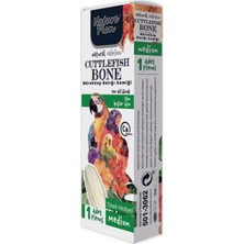 Nova Epoxy Art Mürekkep Balığı Kemiği Medium