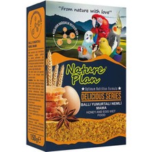 Nova Epoxy Art Ballı Yumurtalı Kuş Maması 150 gr