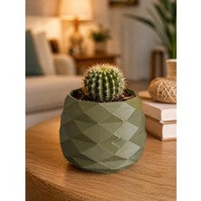 Besing Geometrik Mini Kaktüs Saksısı | Dekoratif Masa Üstü Saksı | 3D Baskı