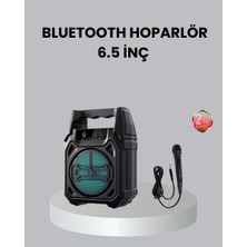 Pileli Store 10W Gücünde Kablosuz Hoparlör – Şarjlı, Fm Radyolu ve Taşınabilir