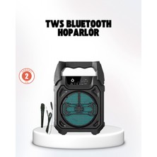 Calperia Taşınabilir 6.5” Bluetooth Hoparlör USB Tf Kart Mikrofonlu Şarjlı Sistem - Lisinya