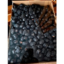 Medine Acve Peygamber Hurması Yeni Mahsül 5kg.
