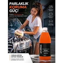 Prothos Cilalı Şampuan 800ML.