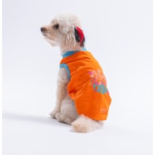 Pawstar Orange-Turuncu All Good Days Kedi Köpek Tişörtü-Kedi Köpek Kıyafeti