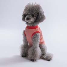 Pawstar Pink-Pembe All Good Days Kedi Köpek Tişörtü-Kedi Köpek Kıyafeti