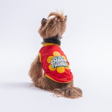 Pawstar Red-Kırmızı Small Things Tişört Kedi Köpek Tişörtü-Kedi Köpek Kıyafeti