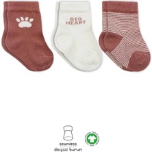 Twin Store 3'lü Penye Soket Çorap BS10110 Pudra