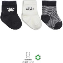 Twin Store 3'lü Penye Soket Çorap BS10110 Antrasit