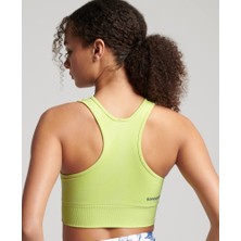 Superdry Bra