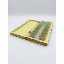 Özgürce 50'li Mikrobiyoloji ve Mikroskop Seti Ahşap Kutuda Eğitim Malzemesi