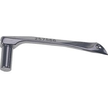Rolinda Pegasus Reçme Burunlu Lüperi / 257566