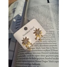 Stainless Steel Yıldız Figürlü Zirkon Taşlı Altın Kaplama Çelik Küpe – Suya Dayanıklı & Alerji Dostu