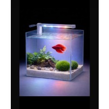 Alion Akvaryum Aydınlatma 15CM LED Aydınlatma 12WOLT Mavi-Beyaz-Kırmızı 2835 Şerit