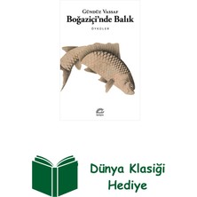 İletişim Yayınları Boğaziçi'nde Balık - Öyküler + Dünya Klasiği