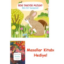 İş Bankası Kültür Yayınları Beni Tanıyor Musun? Ben Bir Tavşanım! (Ciltli) + Masallar