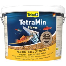 Tetra Tetramin Pul Balık Yemi 100GR Kovadan Bölme