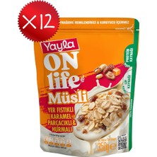 Yayla Onlife Yer Fıstıklı Karamel Parçacıklı ve Hurmalı Müsli 350 G X12