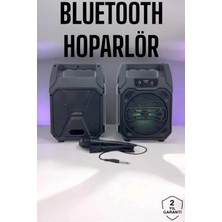 tp Buğz 6.5 Inç Kablosuz Hoparlör Bluetooth Bağlantılı Yüksek Ses Kaliteli