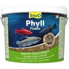 Tetra Phyll Kova 10LT 2050GR