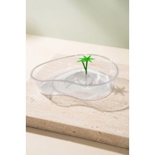 Kaia Life Kaplumbağa Bahçesi Küçük Boy Beyaz