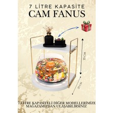 Reyo Ok-Ay Store Düz Raflı Işıklı Lüks Cam Fanus Içinde Beta Balığı Için Özel Tasarım Masa Üstü Dekoratif Akvaryum Gold-Beyaz