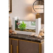 Reyo Ok-Ay Store Beta Balığı Için Ahşap Mini Akvaryum Modern Şık Doğal Minimal Tasarım Akvaryum Beyaz