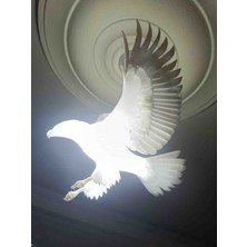 Kamer Kartal Avize