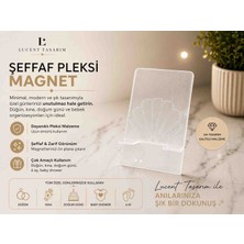 Lucent Tasarım Şeffaf Istiridye Pleksi Magnet 30 Adet (Boş Süslemeye Hazır Şekilde Gönderilmektedir)