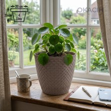 Okacih Hasır Desenli Dekoratif Saksı 4 Litre 20 cm Modern Rattan Görünümlü Iç Mekan Çiçek Saksısı