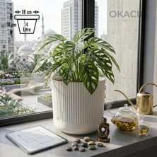 Okacih Modern Ribbed Çizgili Saksı 18 cm 4 Litre Dekoratif Iç Mekan Saksı