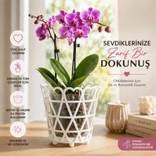 Okacih Dekoratif Kalpli Orkide Saksısı Şeffaf Iç Hazneli Modern Tasarım Çiçek Saksısı