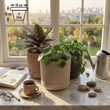 Okacih 3’lü Dekoratif Çizgili Saksı Seti 14 cm 1.8 Lt Modern Ribbed Tasarım Çiçek Saksısı (3 Renk)