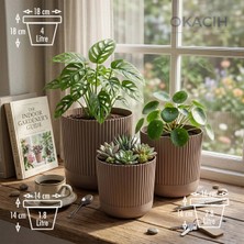Okacih 3’lü Dekoratif Çizgili Saksı Seti 14-16-18 cm Modern Ribbed Iç Mekan Saksı