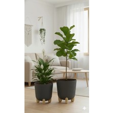 Okacih 2'li Modern Stick Line Saksı Akıllı Altlıklı 25 Litre