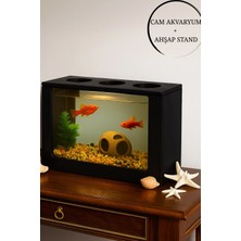 Reyo Ok-Ay Store Beta Akvaryum Ahşap Hediyelik Balık Akvaryumu Şık ve Dayanıklı Modern Doğal Ahşap Tasarım Hediyelik Akvaryum Siyah