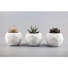 Özgürce Üçlü Yuvarlak Prizma Ham Alçı Döküm Skulent Saksı Seti