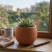Okacih Yuvarlak Saksı Modern Çizgili Dekoratif Çiçek Saksısı