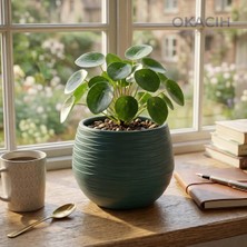 Okacih Yuvarlak Saksı Modern Çizgili Dekoratif Çiçek Saksısı