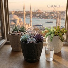 Okacih 3’lü Taş Desenli Dekoratif Saksı Seti Tabaklı Çiçek Saksısı