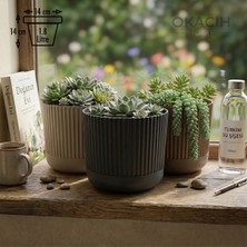 Okacih 3’lü Dekoratif Çizgili Saksı Seti 14 cm 1.8 Lt Modern Ribbed Tasarım Çiçek Saksısı (3 Renk)