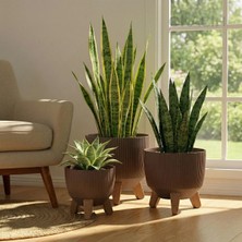 Okacih 3'lü Modern Stick Line Bambu Ayaklı Saksı Akıllı Altlıklı 18 Litre