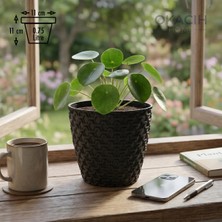 Okacih Dekoratif Hasır Desenli Saksı 0.75 Lt 11 cm Rattan Görünümlü Modern Iç Mekan Saksısı