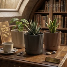 Okacih 3’lü Dekoratif Çizgili Saksı Seti 14 cm 1.8 Lt Modern Ribbed Tasarım Çiçek Saksısı (3 Renk)